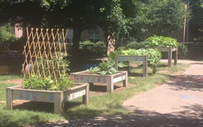 If You Give The Students A Garden…