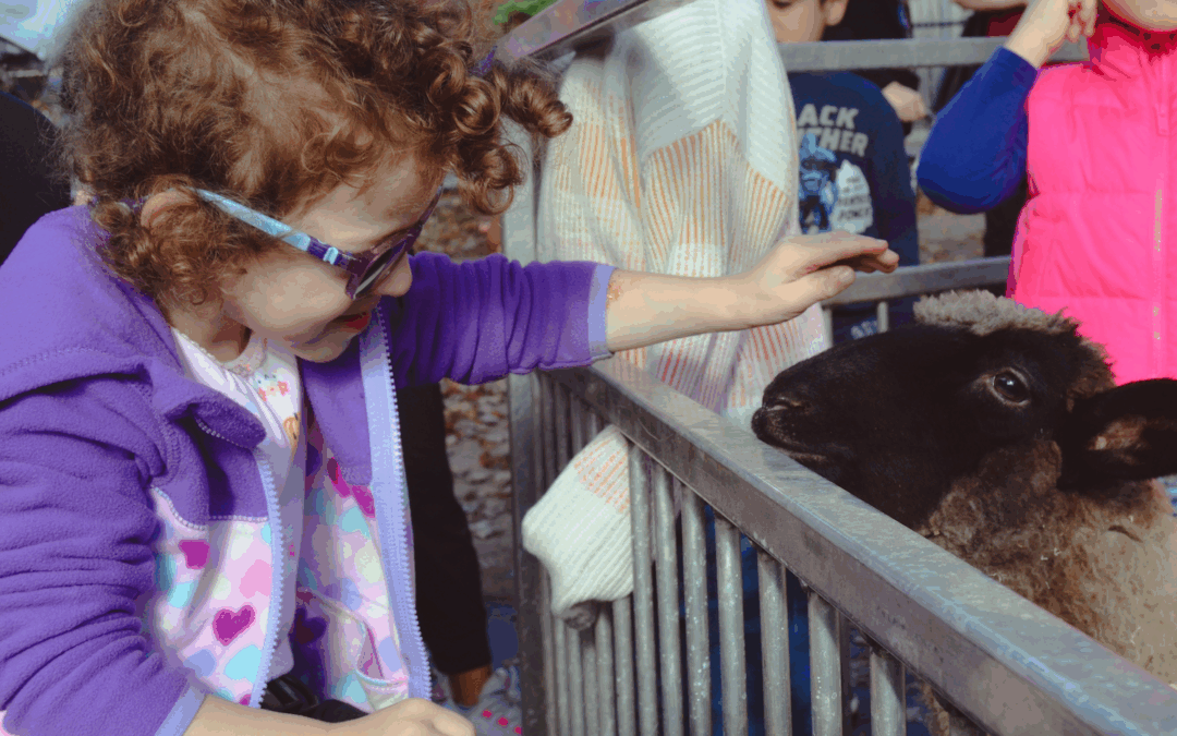 Potential | November 2025 Issue